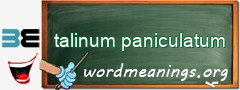 WordMeaning blackboard for talinum paniculatum